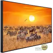 Papermoon Infrarotheizung »EcoHeat - Afrikanische Antilopen und Zebras«, Matt-Effekt - bunt
