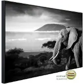 Papermoon Infrarotheizung »EcoHeat - Elefant mit Landschaft«, Matt-Effekt - bunt