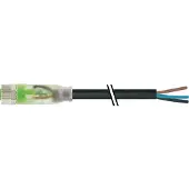 Murr Elektronik 7000-08111-6300500 Sensor-/Aktor-Steckverbinder, unkonfektionier