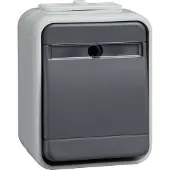 ELSO Schneider Electric Taster 442129 10A AquaTop licht/basaltgrau