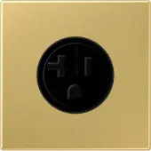 JUNG Steckdose 1f ms mt LS UP IP20 ZP NEMA ME2521-20C