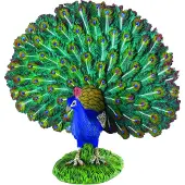Collecta Pfauenfigur Mehrfarbig 3-6 Years Mehrfarbig 3-6 Years