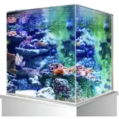 AMTRA Nanoscaping Weißglasbecken