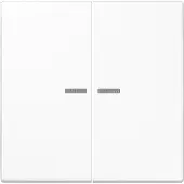 JUNG Wippe Lichtleiter aws LS 995 KO5 WW LS995KO5WW