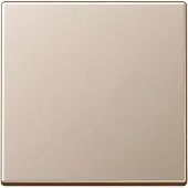 JUNG Wippe champ. A 590 CH A590CH