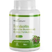 VitaSanum - Forskolin (Indische Buntnessel) (Coleus Forskohlii) 60 St Kapseln