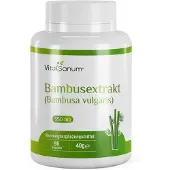 VitaSanum – Bambusextrakt (Bambusa vulgaris Schrad.) 350 mg 90 St Kapseln