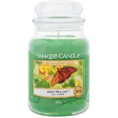 Yankee candle Beautiful Day 623g