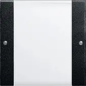 Gira Wippenset 1-fach System 55, Klar/Schwarz matt, 1 Stk.