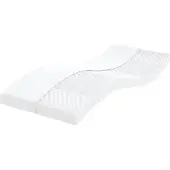 vidaXL Schaumstoffmatratzen 2 Stk. 100x200 cm 7-Zonen Härtegrad 20 ILD