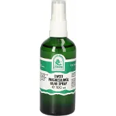 St. Severin Dmso Magnesiumöl 60/40 Spray 100 ml