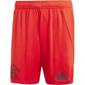 Adidas Herren Teamhose FC Bayern München 24/25 Heim