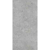 Zelfbouwmarkt Desert Bodenfliese light grey 30x60 cm matt DESER36LGR