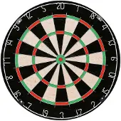 Xqmax Darts Klassische Dartscheibe Borste