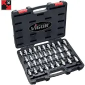 Vigor V2496, 36 Stück(e), Torx