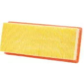 Champion LUFTFILTER DIVERSE TRIUMPH CAF9007