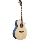 Ibanez AE390-NTA