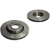 Delphi Bremsscheiben BG2443, Vorne, belüftet, 2 Stück