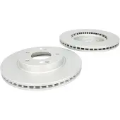 Delphi Bremsscheiben BG4565C vorne, belüftet, 2 Stück