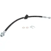 Delphi Bremsschlauch LH6685, Links
