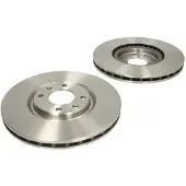 Delphi Bremsscheiben BG4166 vorne, belüftet, 2 Stück