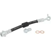 Delphi Bremsschlauch LH7372, Links