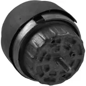 CORTECO Motorlager Hydrolager Rechts für AUDI A6 Avant (4F5, C6) 80004291