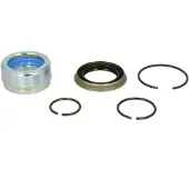 DT Spare Parts Reparatursatz, Kippzylinder 1.32317