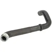 THERMOTEC Kühlerschlauch Wasserschlauch passend für PEUGEOT EXPERT Kasten (222) DWP134TT