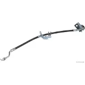 HERTH+BUSS ELPARTS Bremsschlauch HERTH+BUSS JAKOPARTS J37105013, Rechts