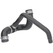 THERMOTEC Kühlerschlauch DWM125TT