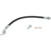 Delphi Bremsschlauch LH7555, Rechts