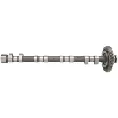 AE CAM974 Nockenwelle Auslass für MITSUBISHI L 200 / Triton Pickup (KJ, KK, KL) L 200 / Triton Pickup (KAT, KBT) L 200 / Triton Pritsche / Fahrgestell