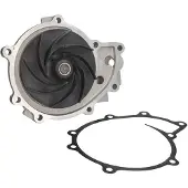 DT Spare Parts Wasserpumpe 3.16033