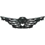 BLIC Kühlerhaube 6502-07-6013991P
