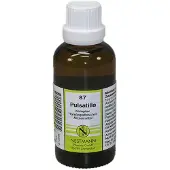 Nestmann Pulsatilla Komplex 87 Dilution 50 ml