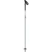 SCOTT Herren Alpin-Skistock SCO Pole Proguide C SRS