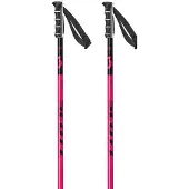 SCOTT Herren Alpin-Skistock SCO Pole SEA
