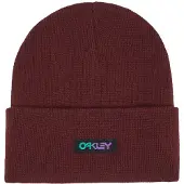 Oakley Apparel B1b Gradient Patch Mütze