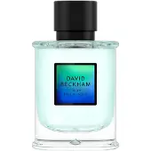 David Beckham True Instinct Eau de Parfum 75ml