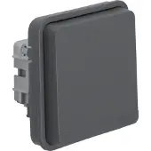 Berker 47063515, Typ F, Grau, Thermoplast, IP55, 250 V, 16 A