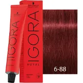 Schwarzkopf Professional Igora Royal Reds 60 ml 6-88 Dunkelblond Rot Extra