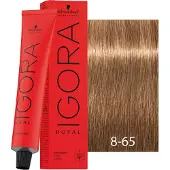 Schwarzkopf - Igora Royal Permanent Color Creme 8-65 Blond clair marron doré Haare färben 60 ml