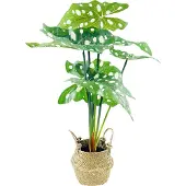 Eurofirany Kunstpflanze - getrocknete Blume Eurocurtains Alocasia, Kunstblume in einem Korb