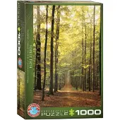 Eurographics Forest Path 1000pcs, 1000 Stück(e), Landschaft