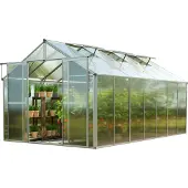 GFP 225 x 449 cm Gewächshaus, ohne Setangebot | 6 mm - (GFPV00050)