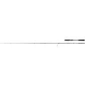 Penn Raubfischrute Conflict Inshore Spinning Rod