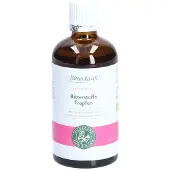 Bitterkraft GmbH Bitterkraft Alkoholfrei Bitterstoffe Tro.dropper 100 ml