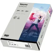 Inapa Multifunktionspapier colors, A4, 160 g/qm, grau blanko, für Inkjet-, Laserdrucker, Kopierer