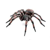 Papo Spinne - L: 6 cm - - One Size - Spielzeugtiere